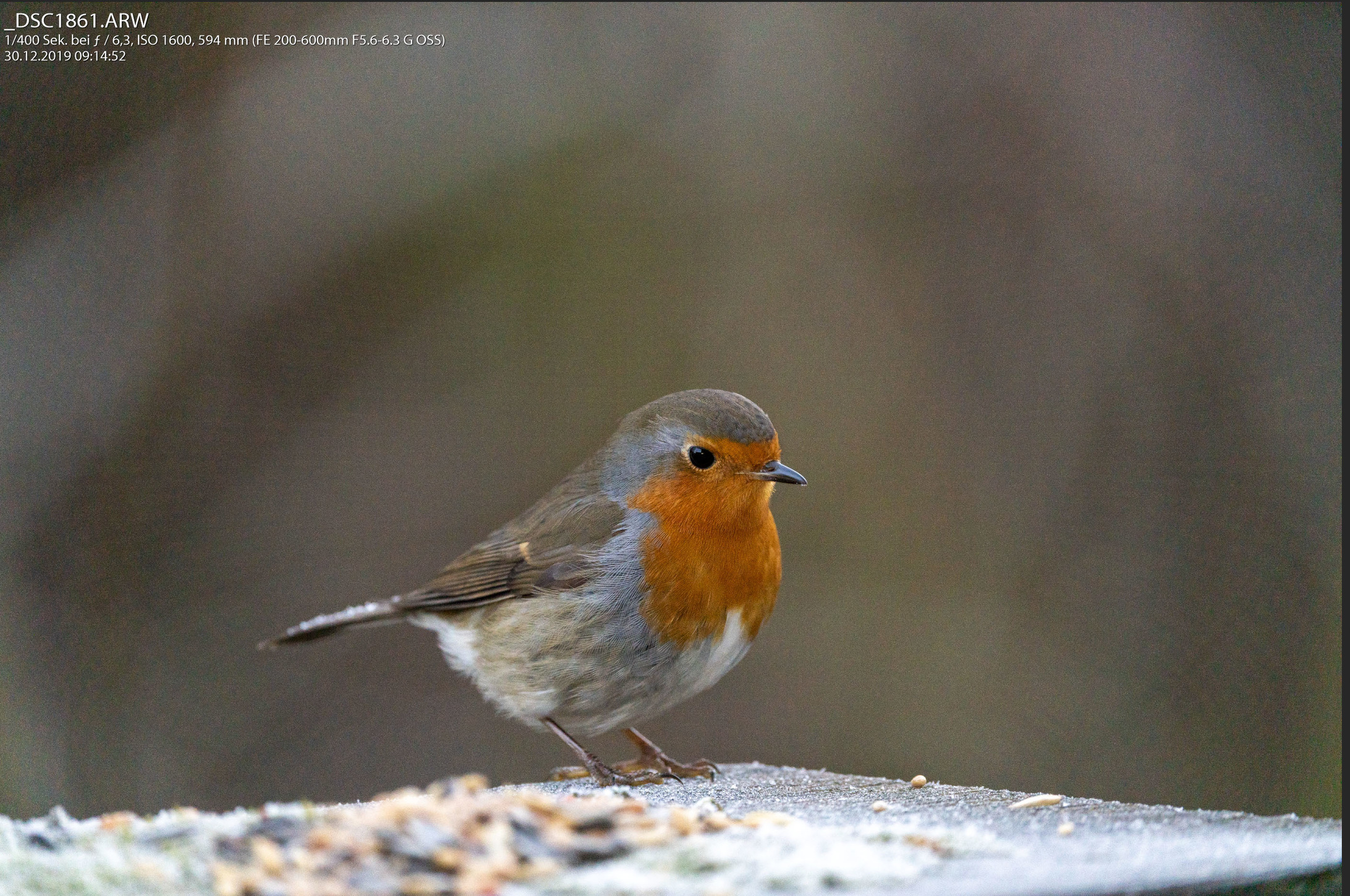 Unbenannt-1 - Kopie.jpg