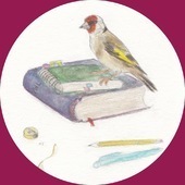 Carduelis