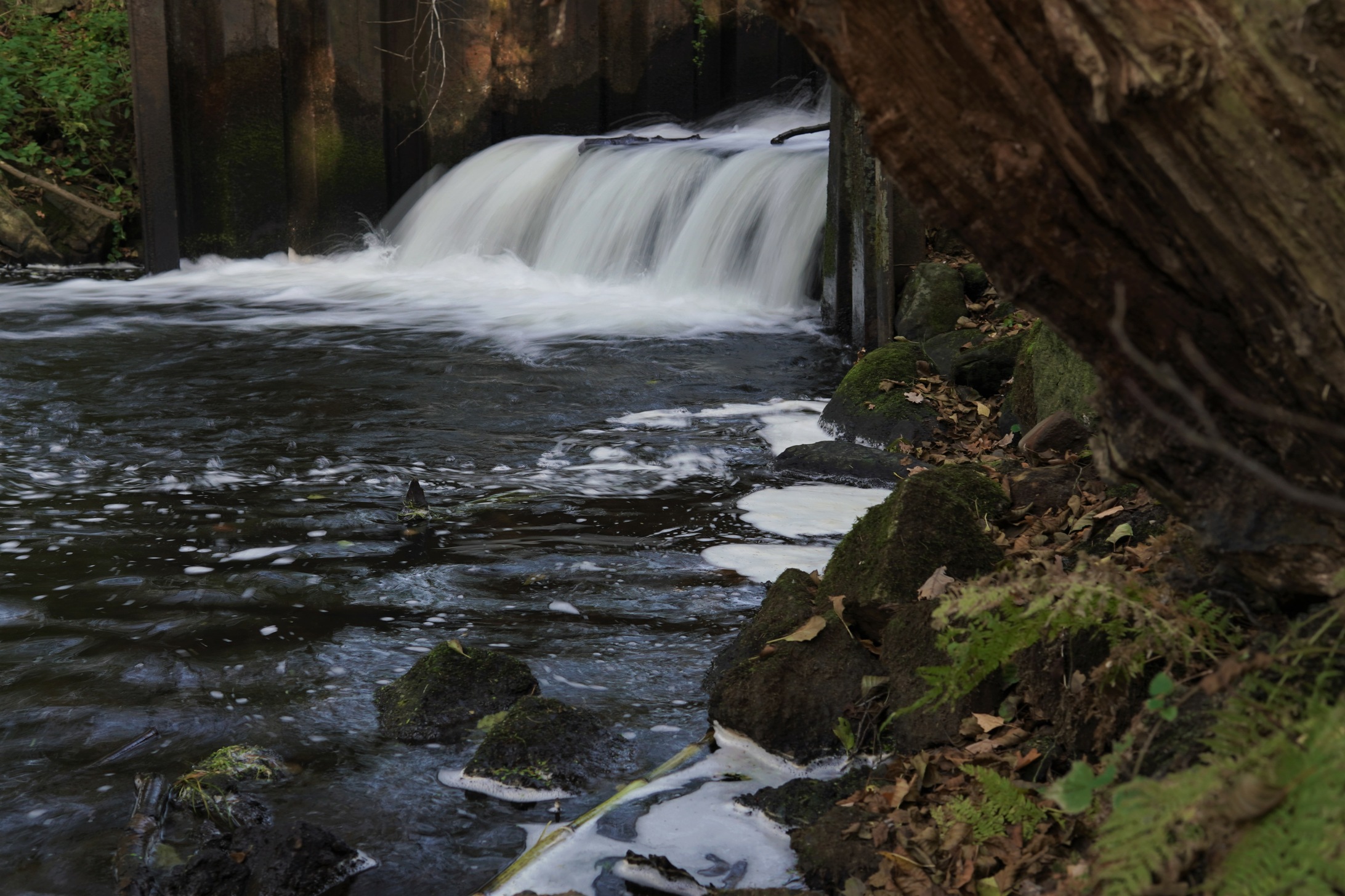 Maschen Seeve (10).JPG