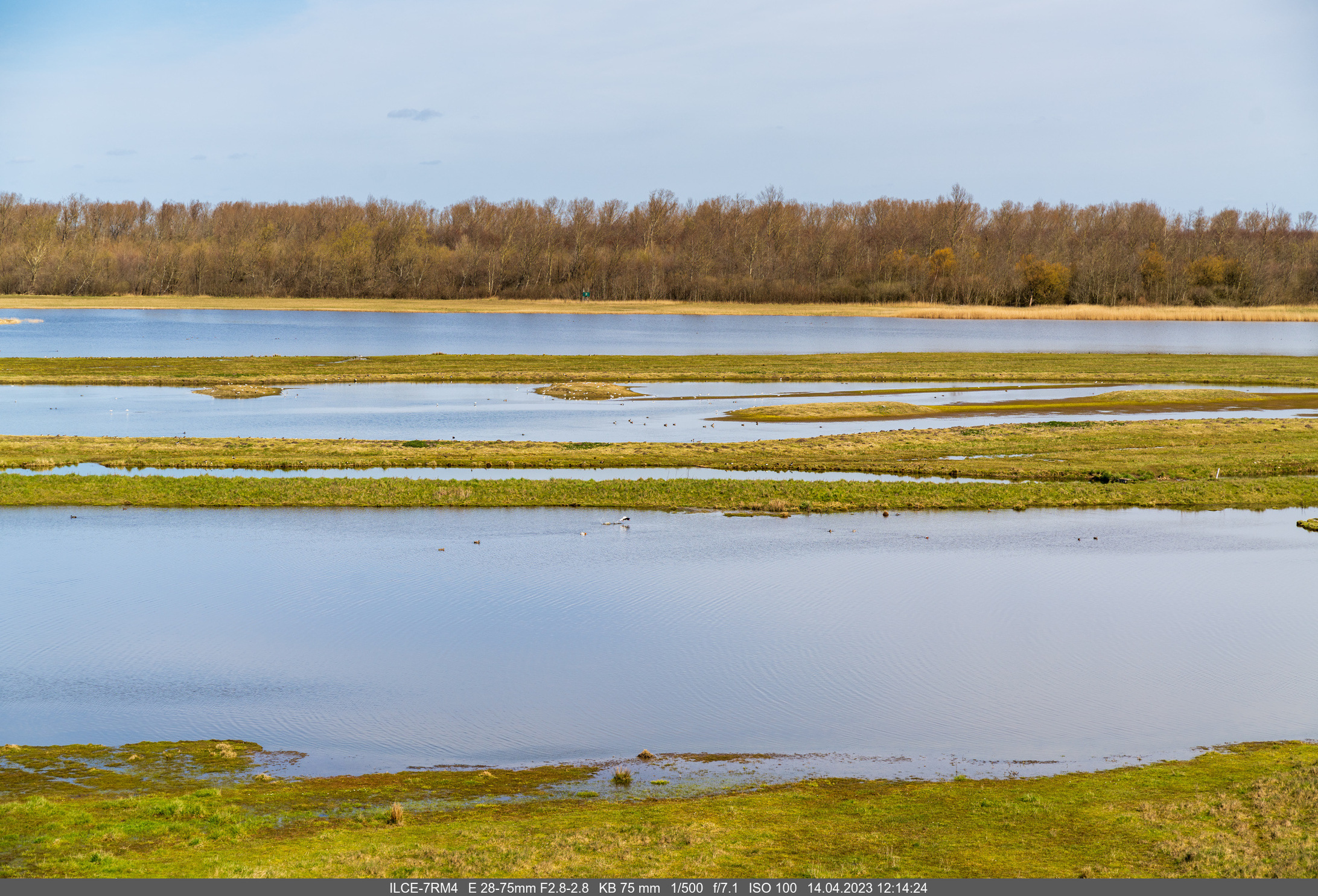 2023-04-14_12-14-24_ILCE-7RM4_75 Katinger Watt.jpg