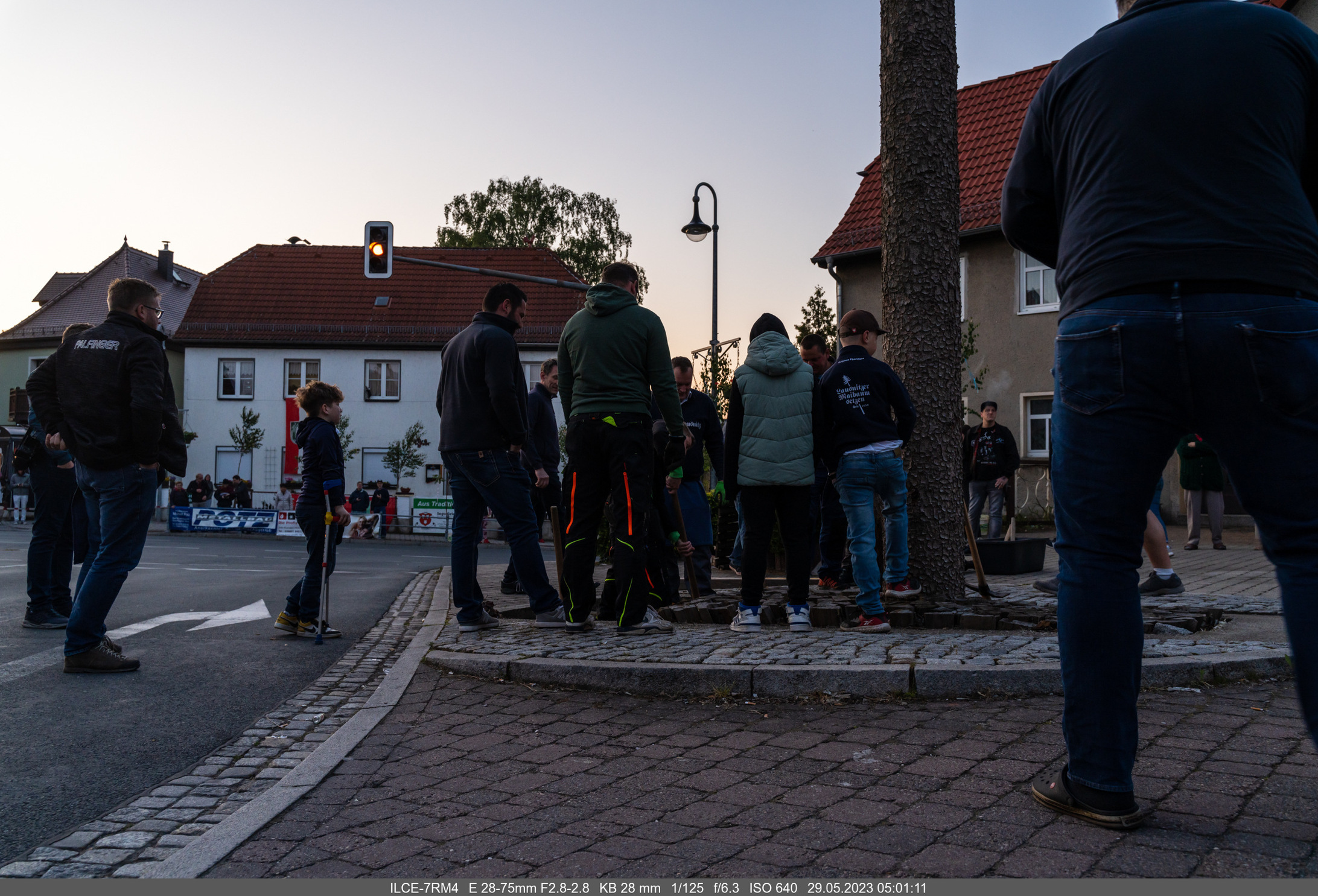 2023-05-29_05-01-11_ILCE-7RM4_28 Pfingsten 2023 Baumfällen.jpg