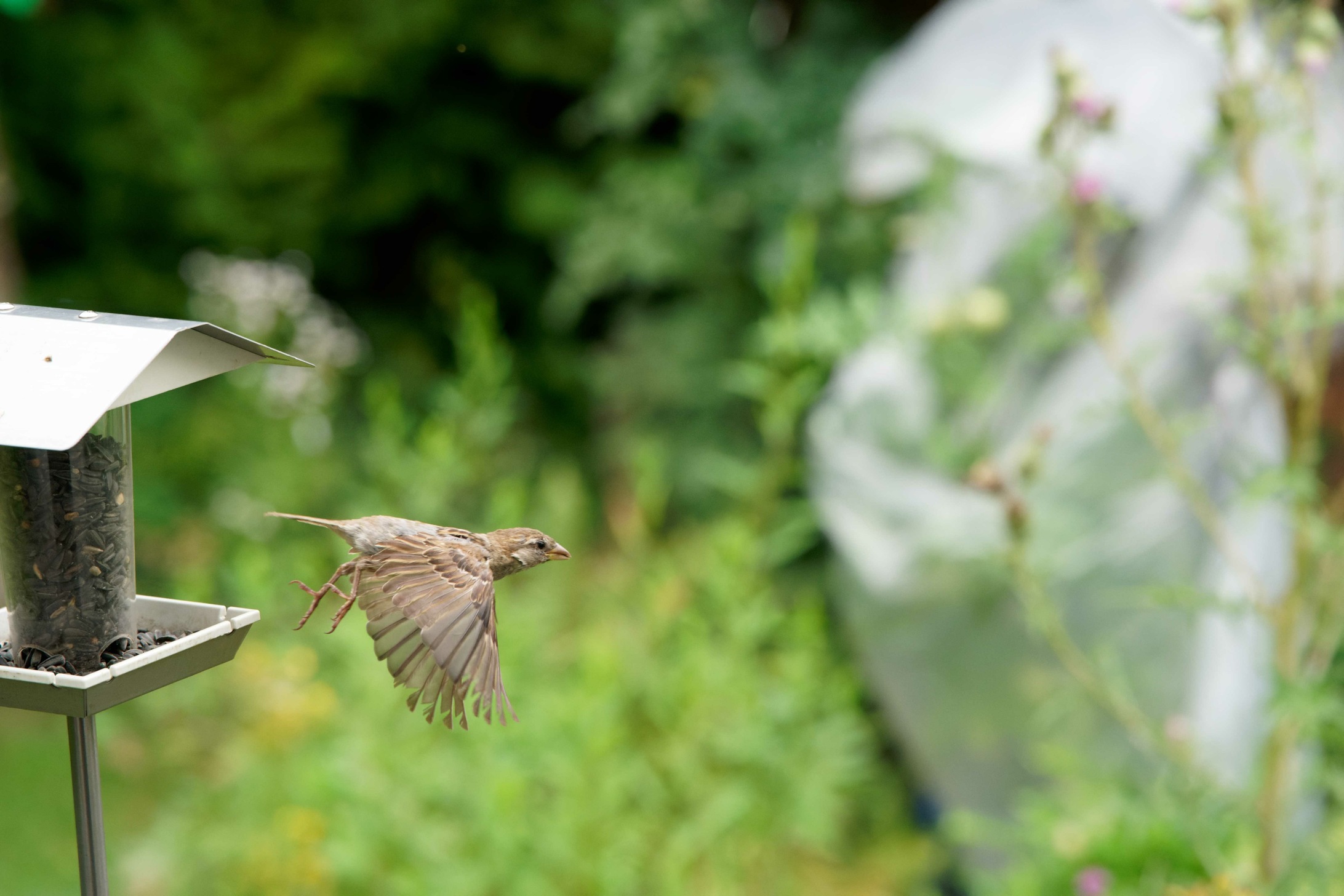 2023-07-31 09-31-37 - PVC08807-forumsgröße.jpg