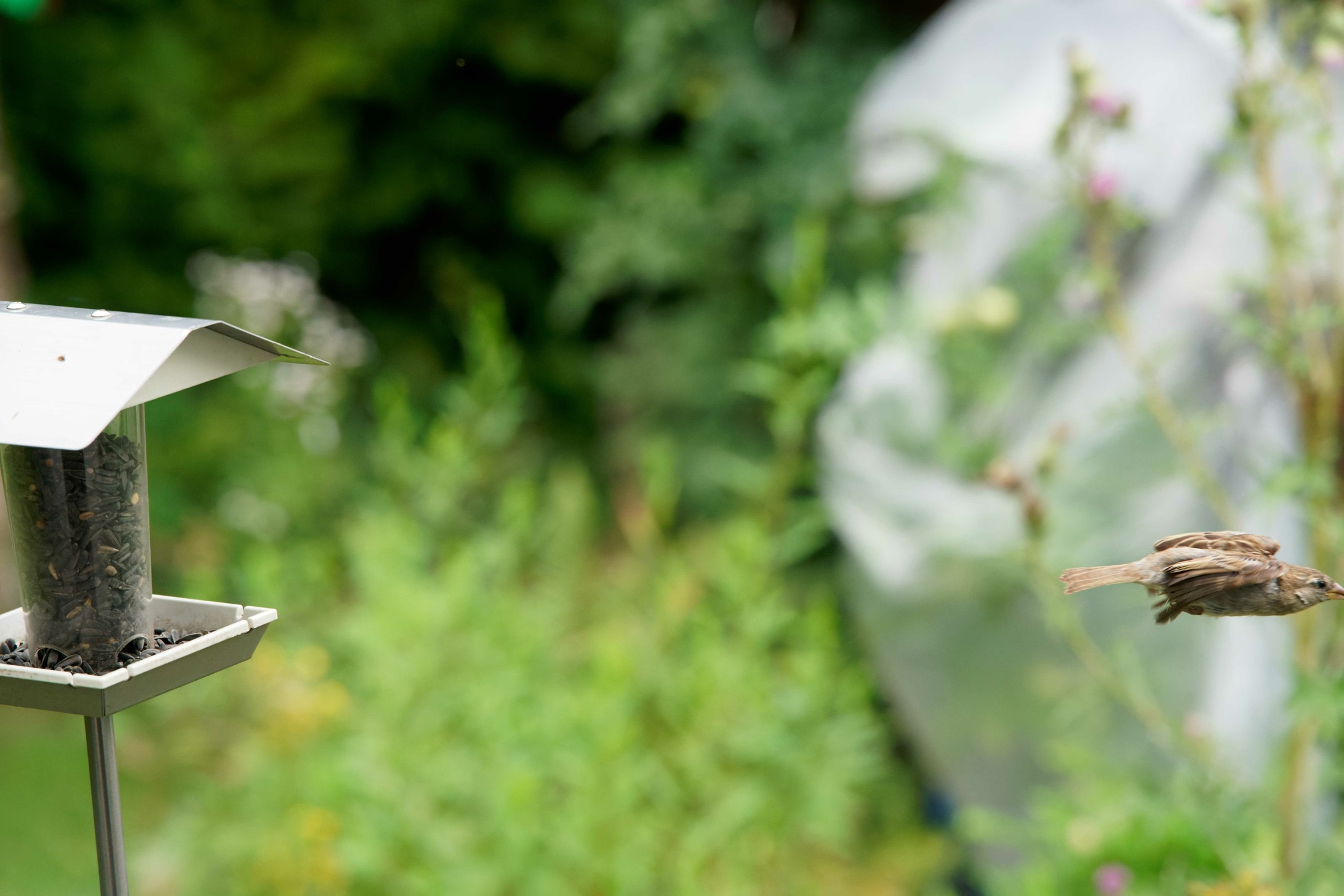 2023-07-31 09-32-01 - PVC08809-forumsgröße.jpg