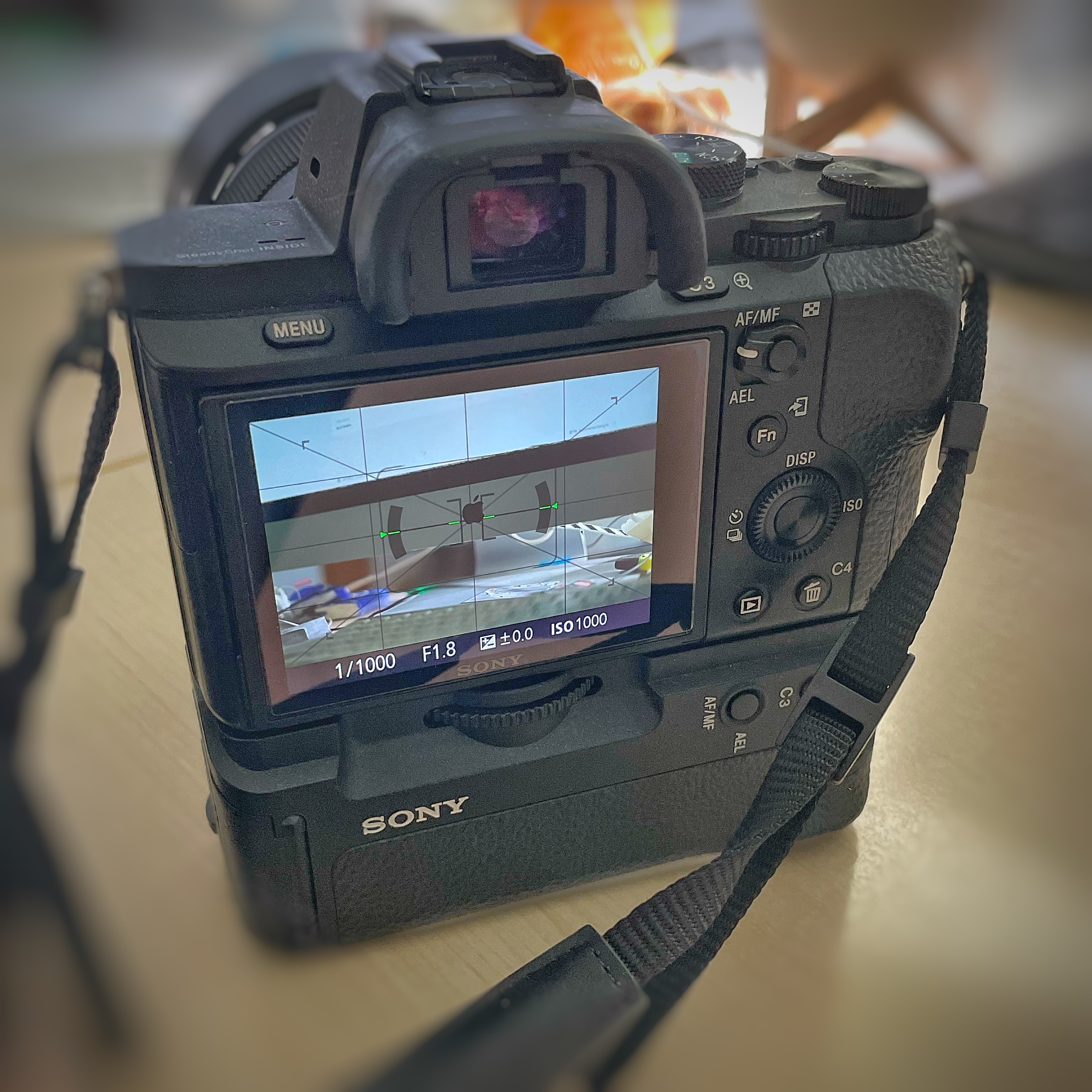 A7ii mit VertikalBatteriegriff und Sony 1.8/50 FE Sony Alpha