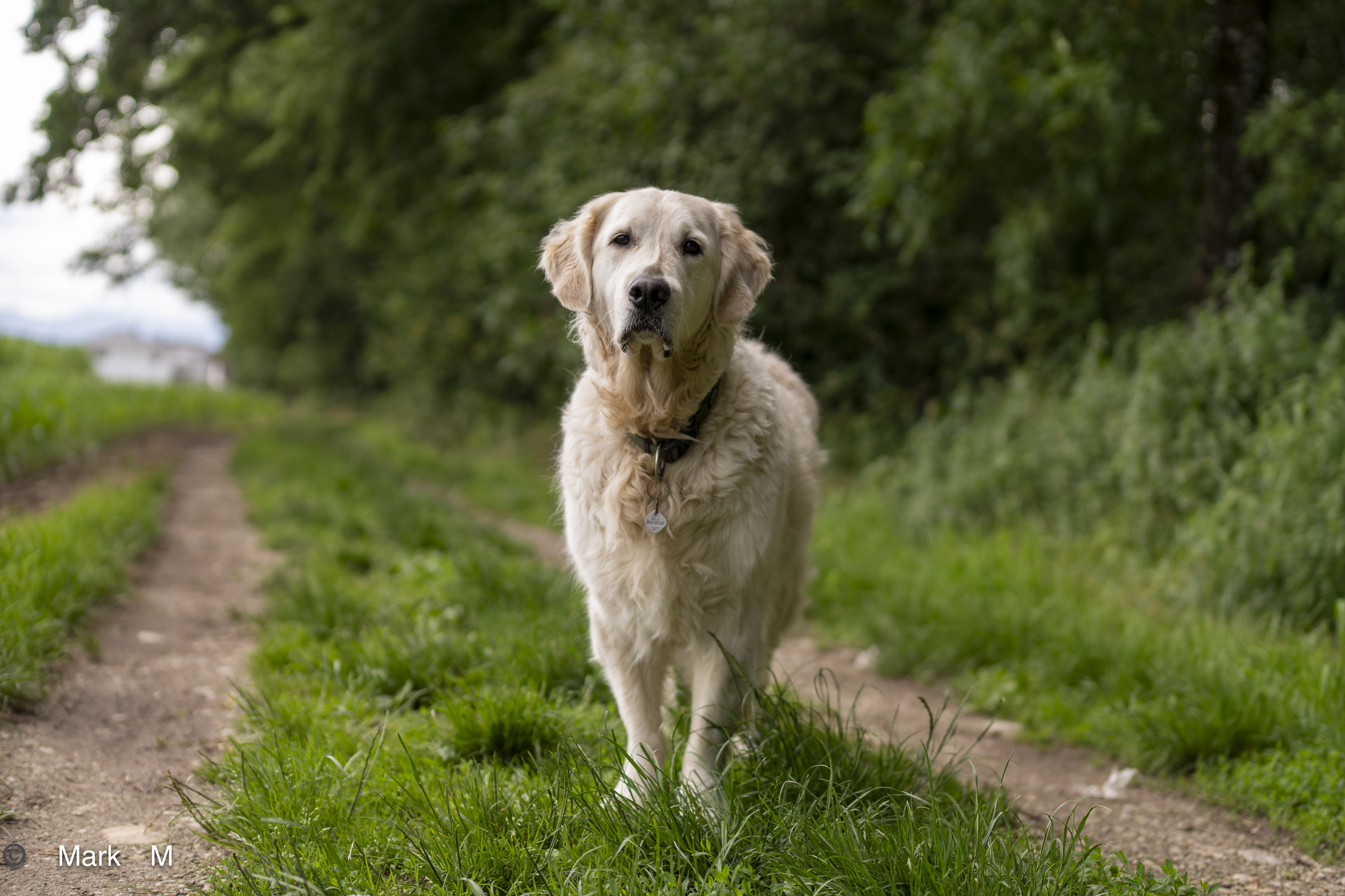 Ben Test Viltrox 50 mm.jpg