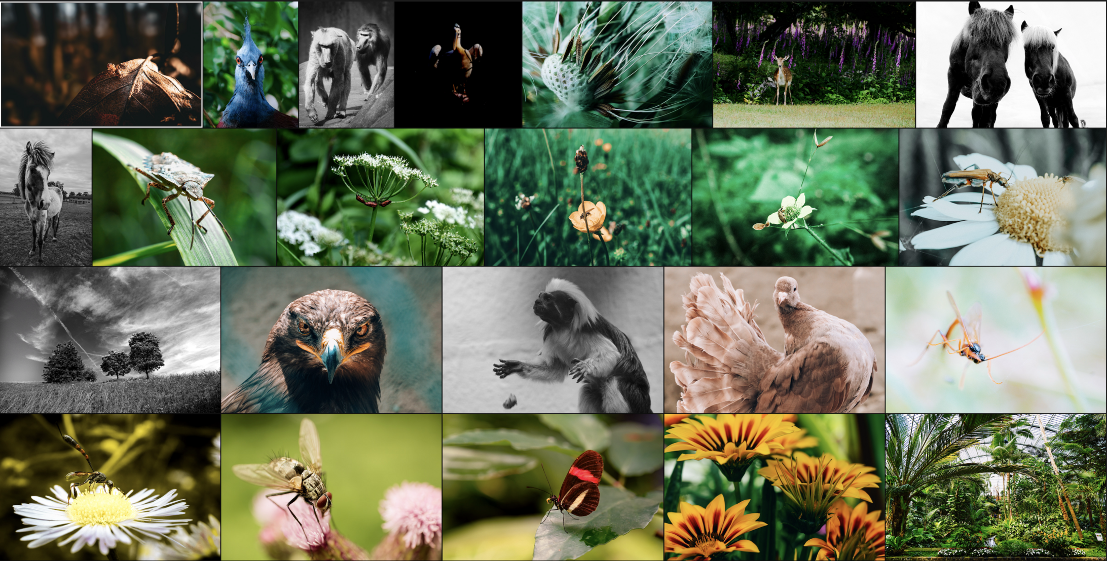 Bildschirmfoto 2024-07-08 um 15.39.50.png