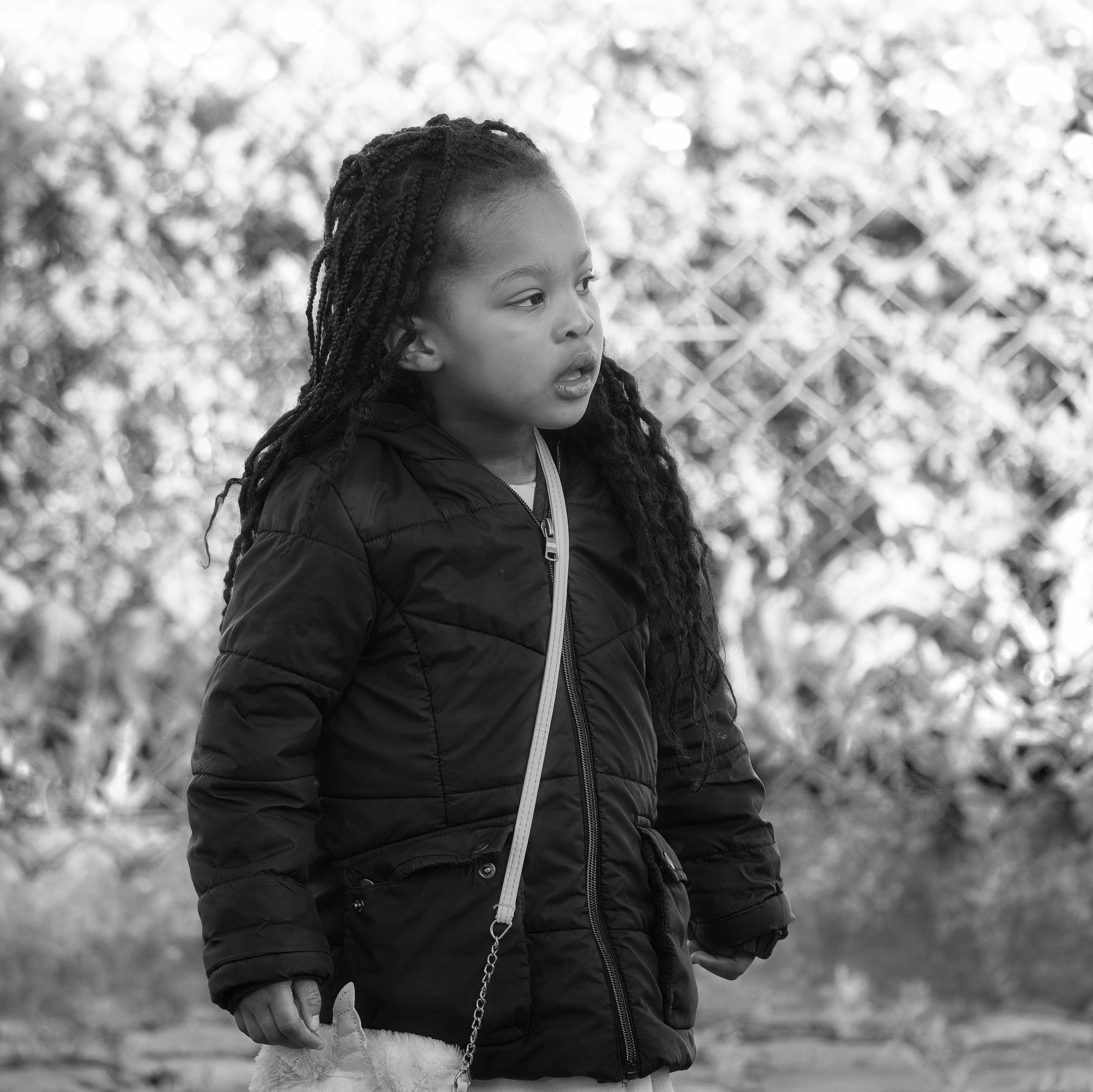 ILCE-9M3FE 200-600mm F5.6-6.3 G OSS copy68.jpg